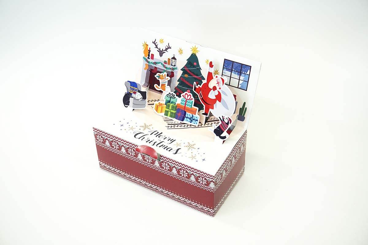 クリスマスPoppyBox（L size）